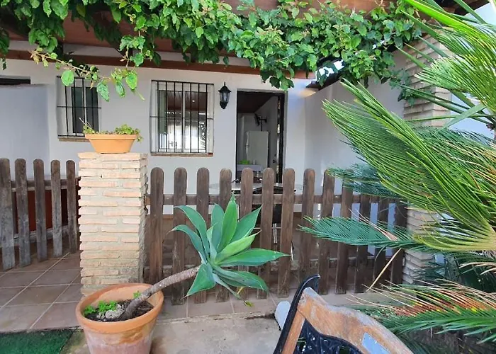 Estudios Con Piscina Compartida En Conil. * Cádiz