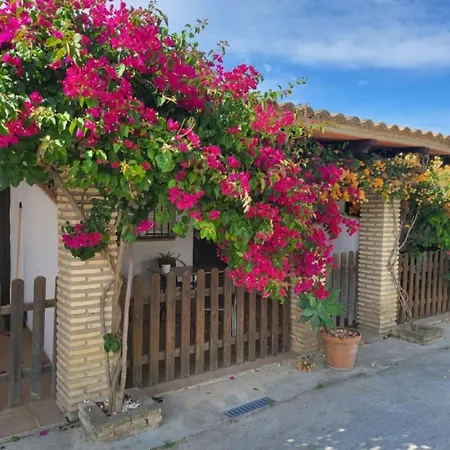 Estudios Con Piscina Compartida En Complejo Rural El Mayorazgo *