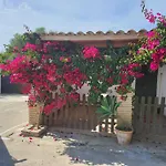 Estudios Con Piscina Compartida En Complejo Rural El Mayorazgo * Cádiz